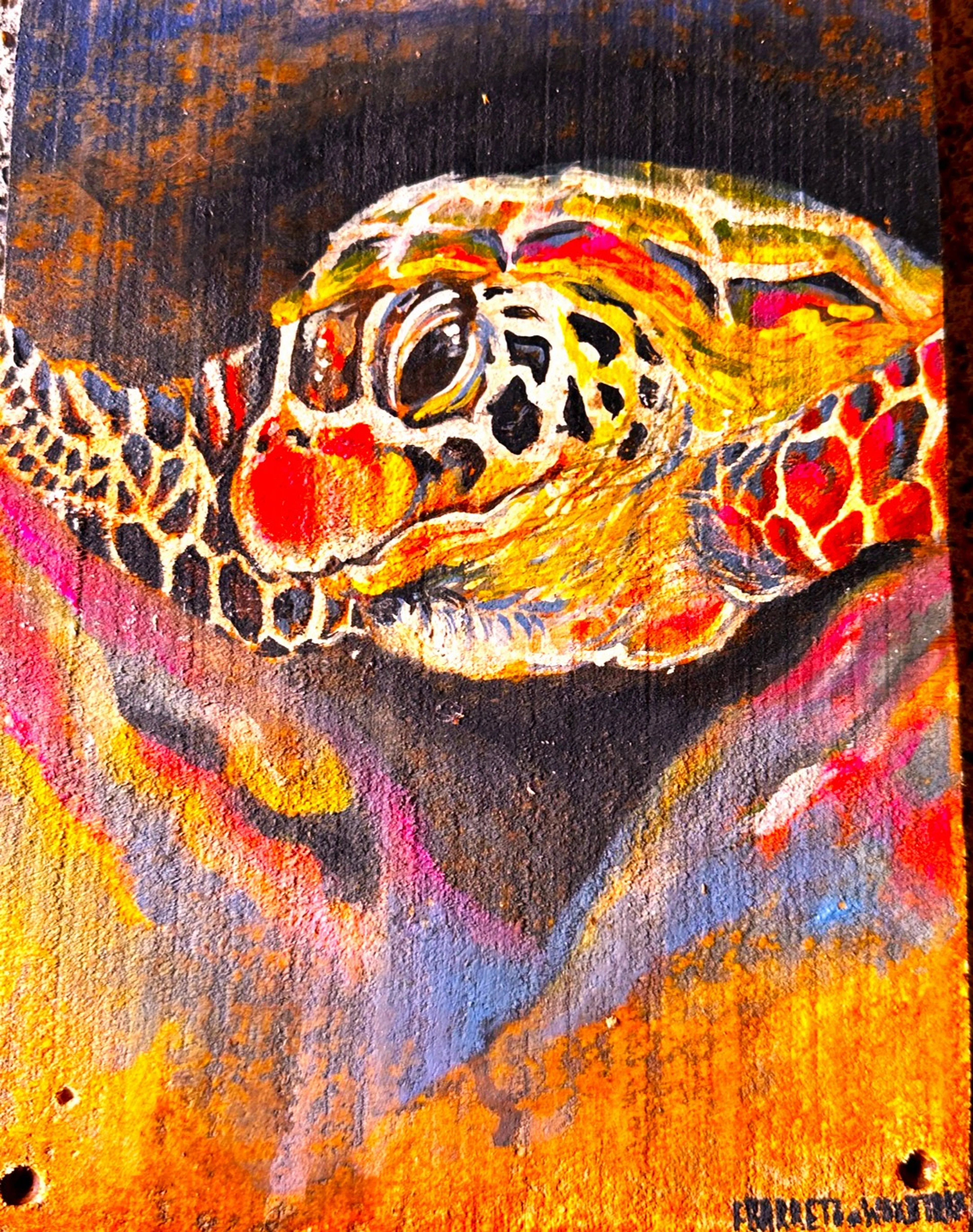 Tortuga - 2
