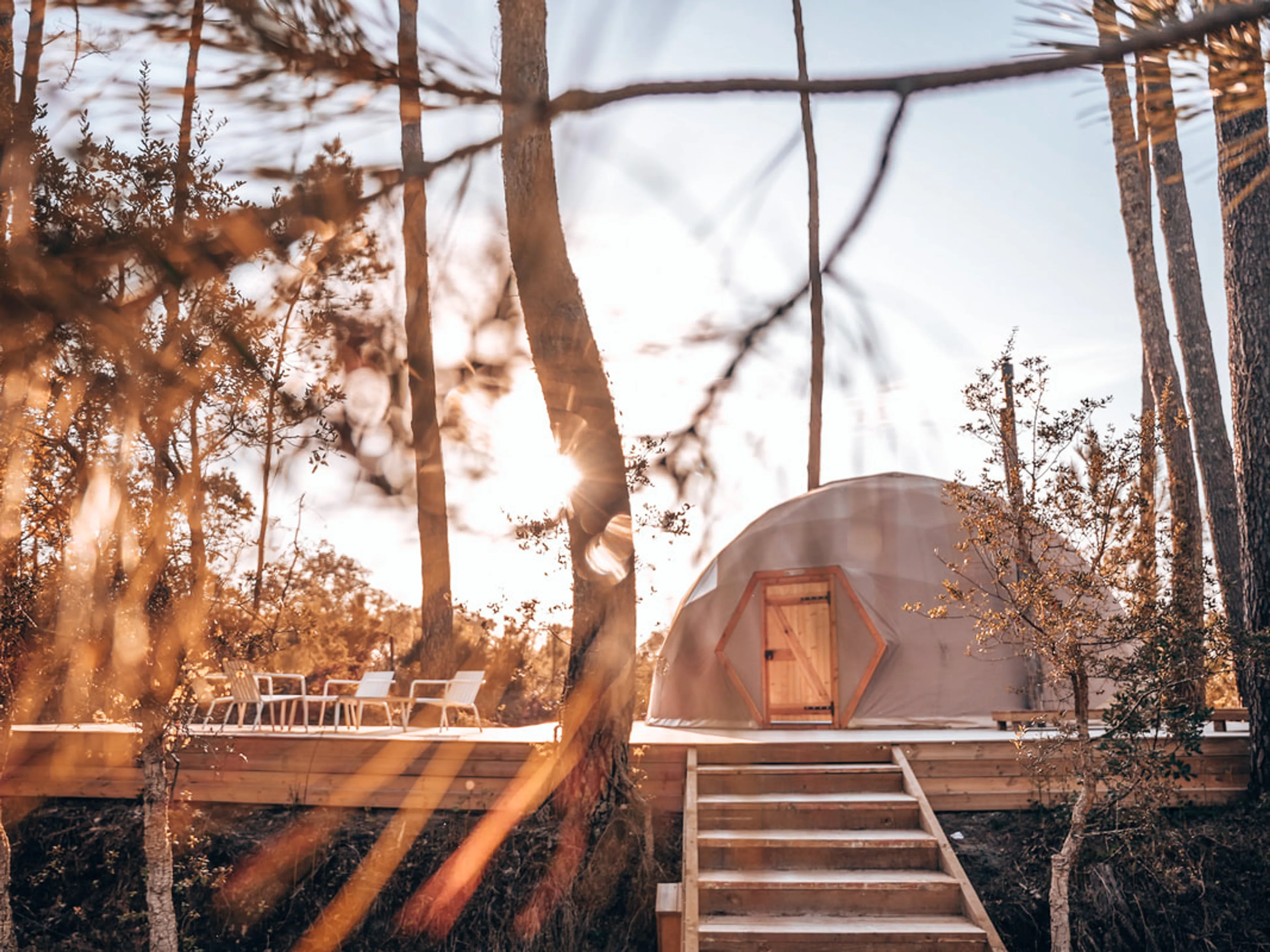 Glampingbereich - 1