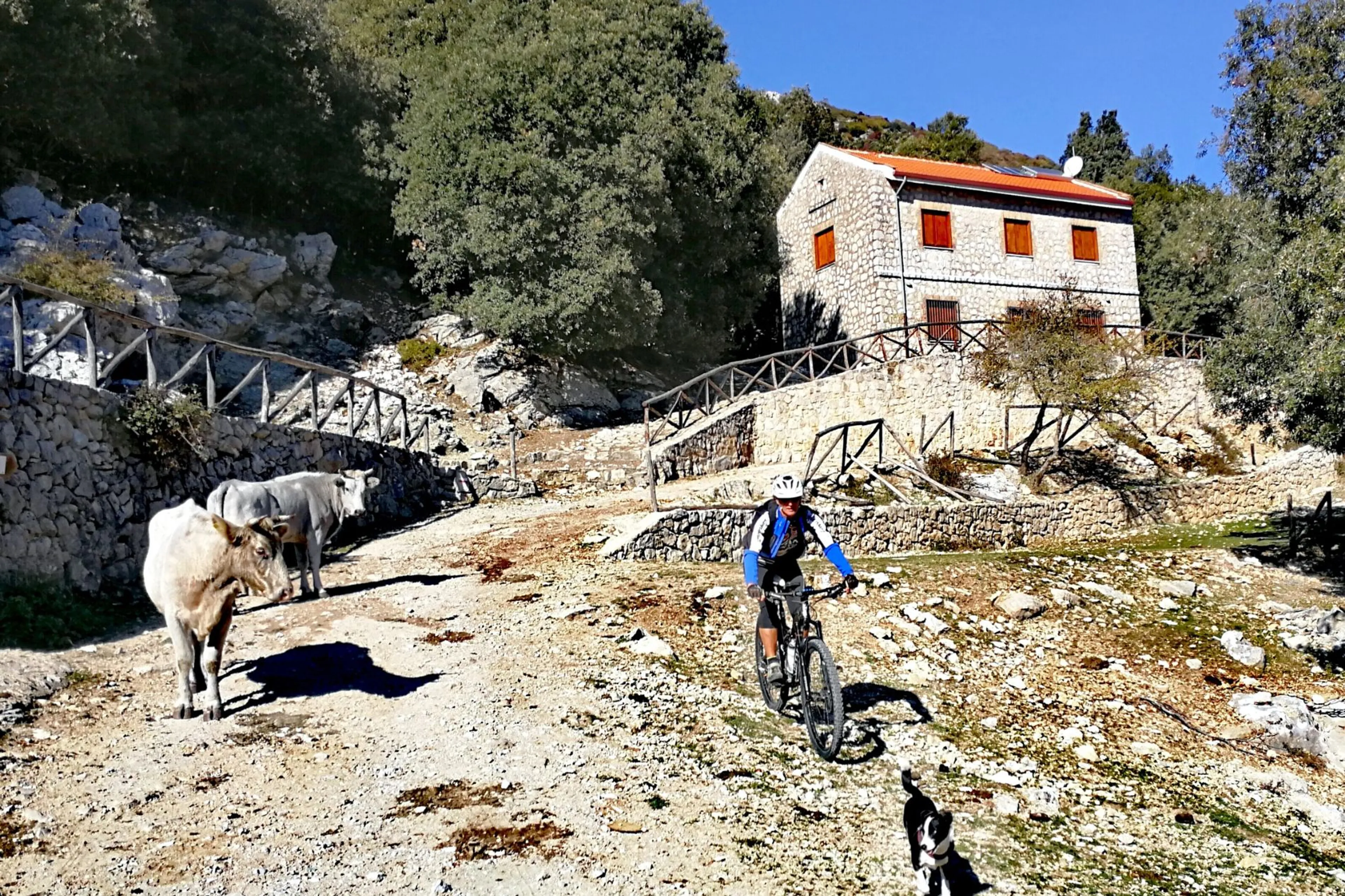 Schlafsaal (Rifugio) - 4