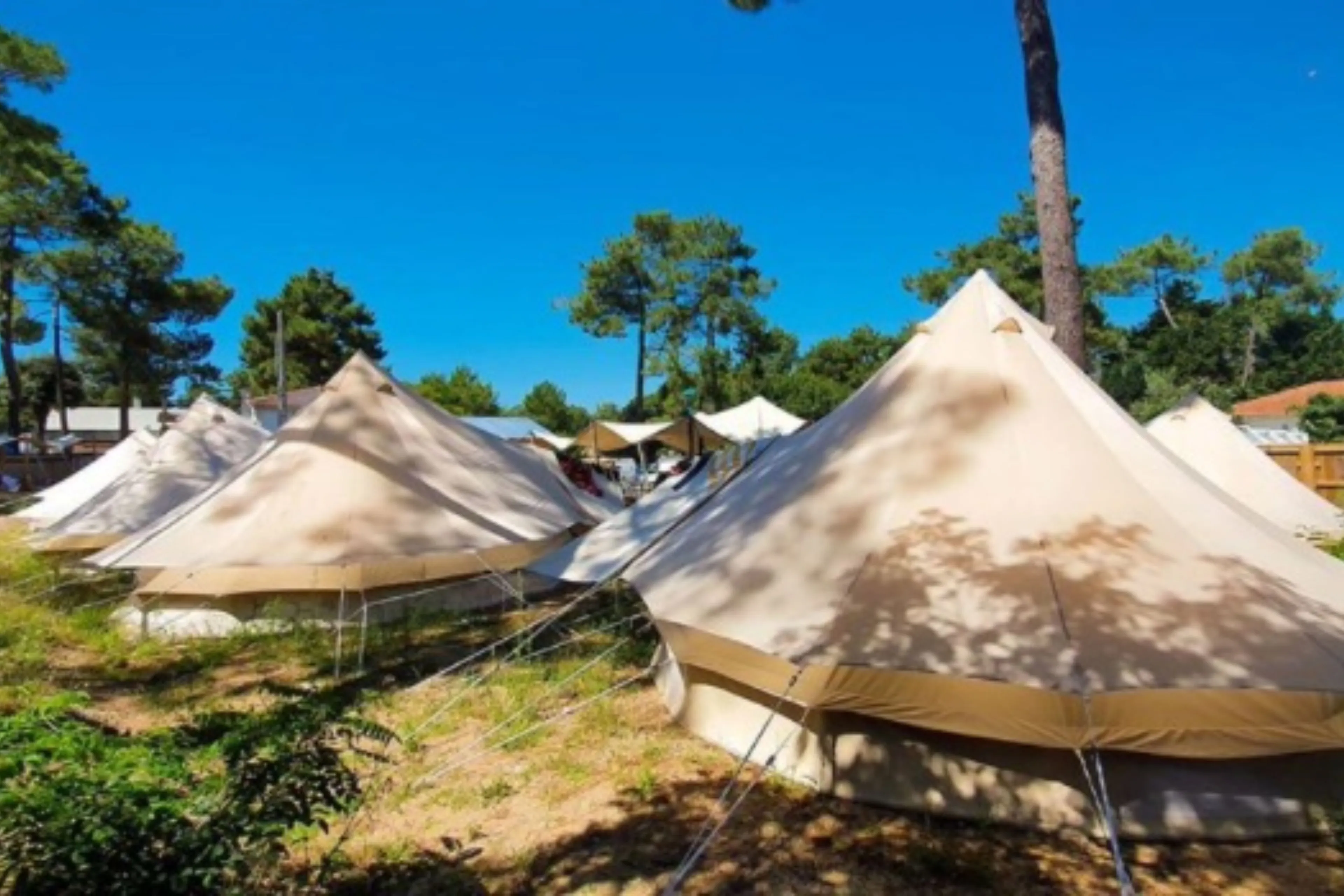 Geteiltes Glamping Tipi - 2