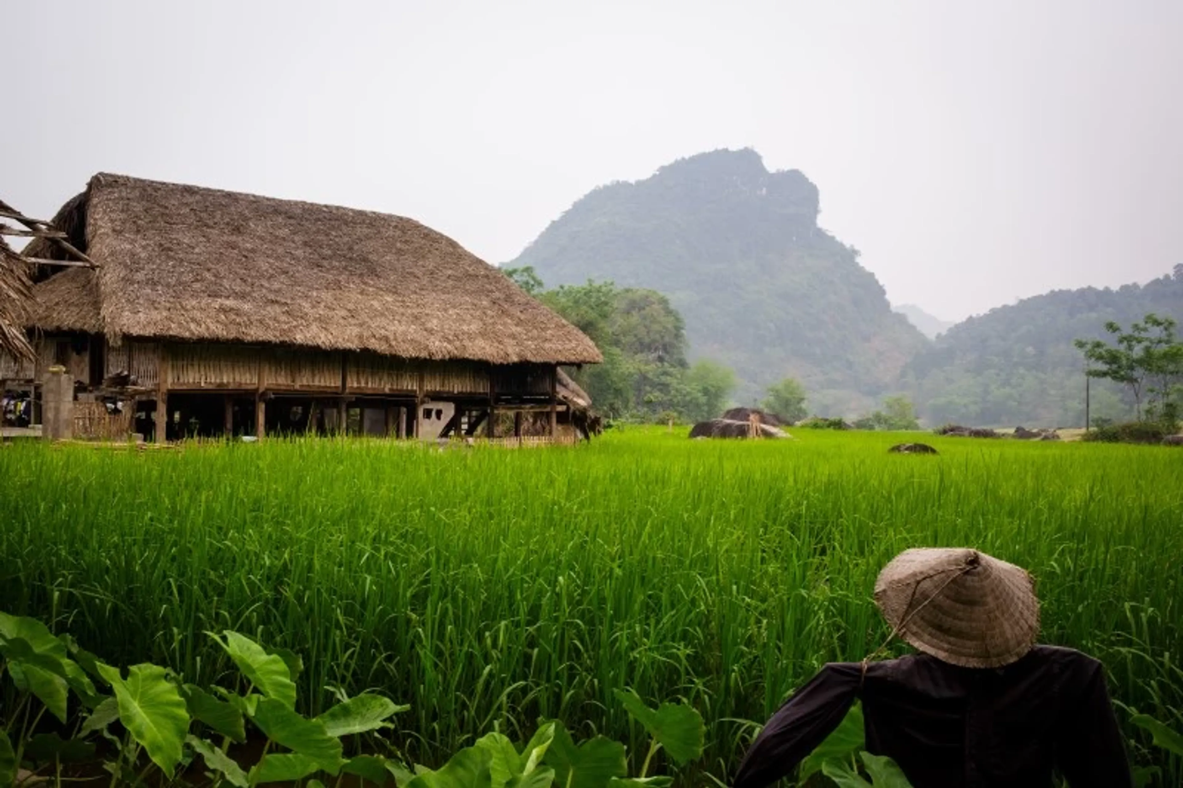 Homestay in Ha Giang & Doppelzimmer im Hotel - 5