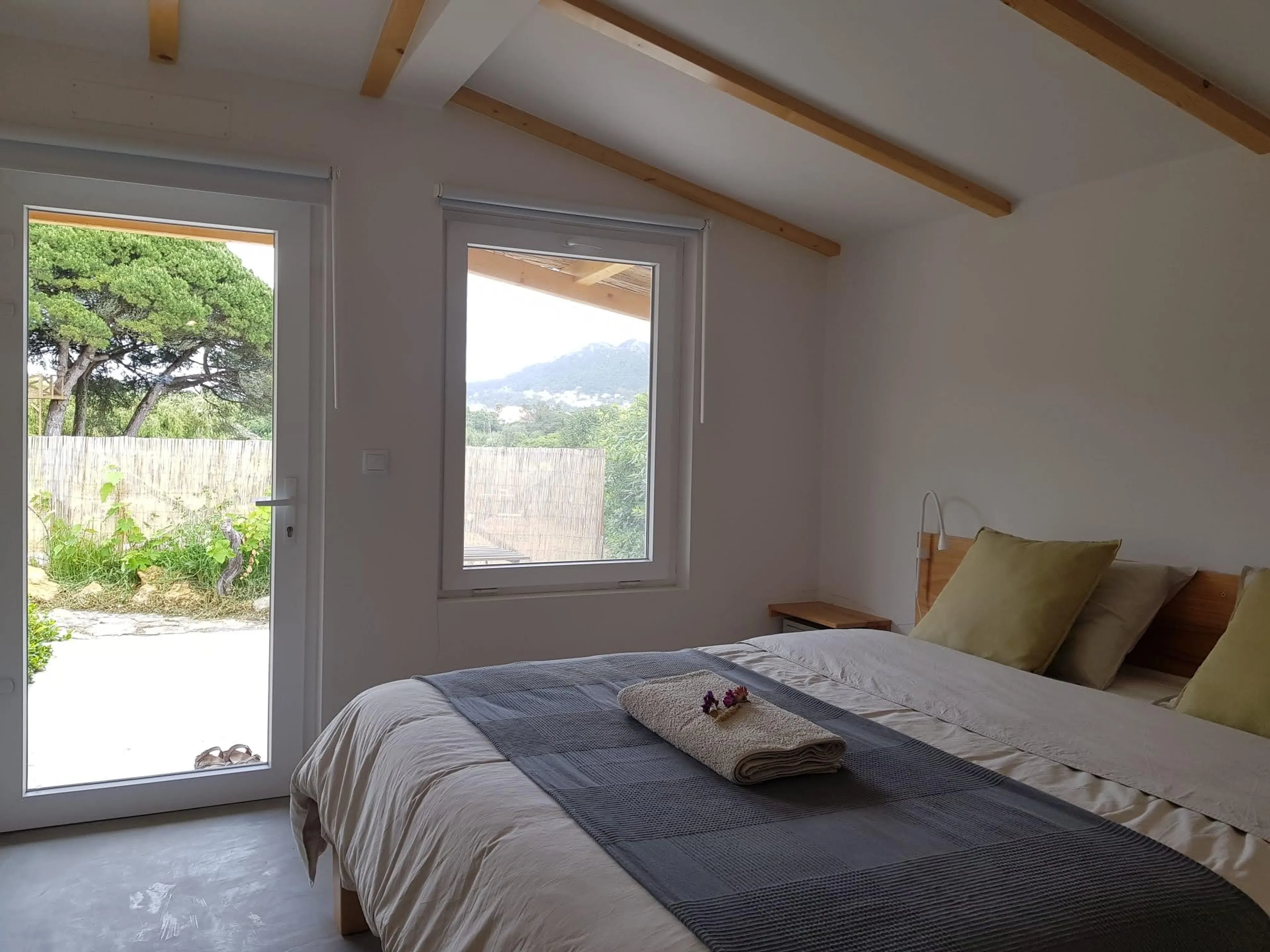 Suite - 5