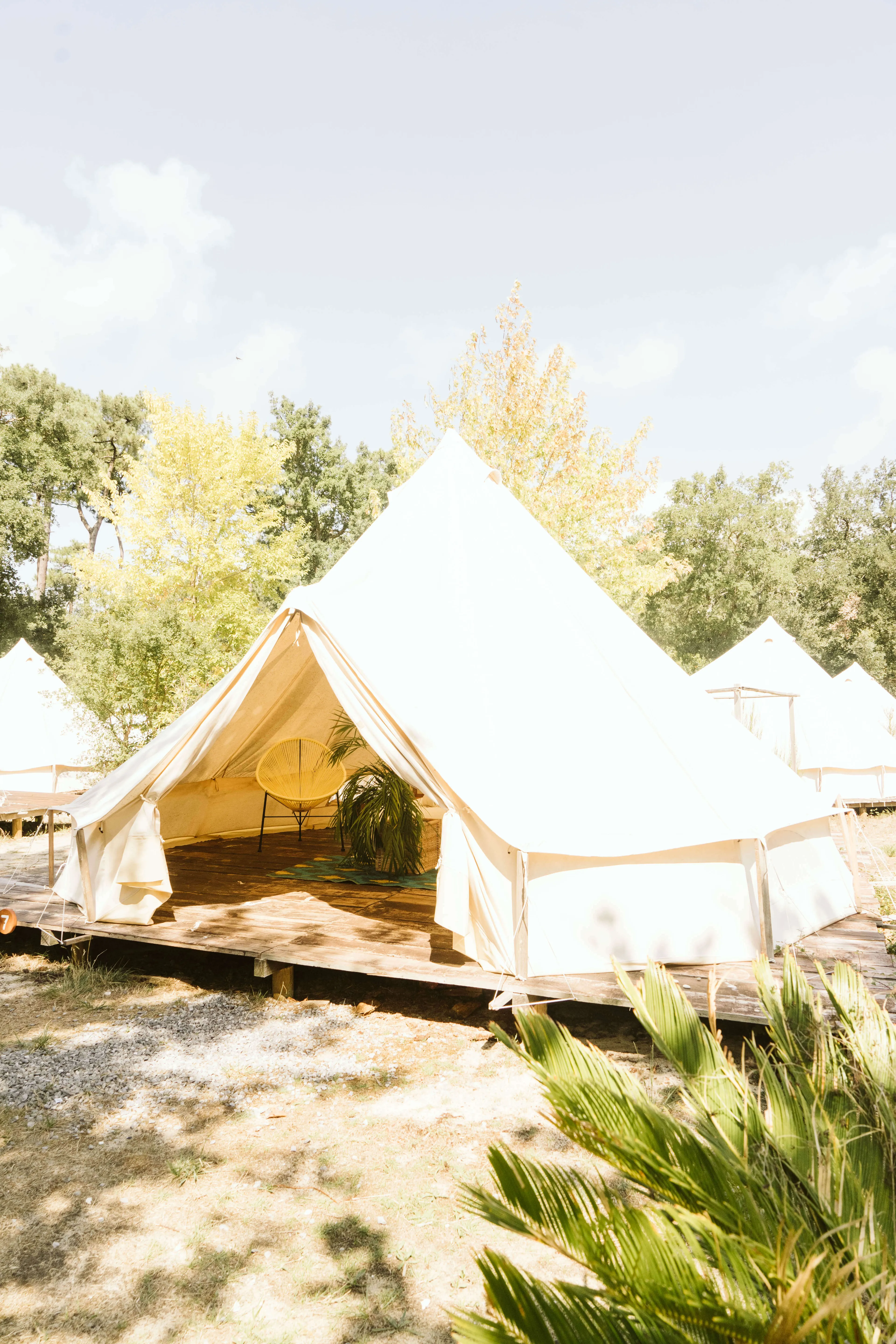 Privates Glamping Zelt für Lehrer:innen - 4