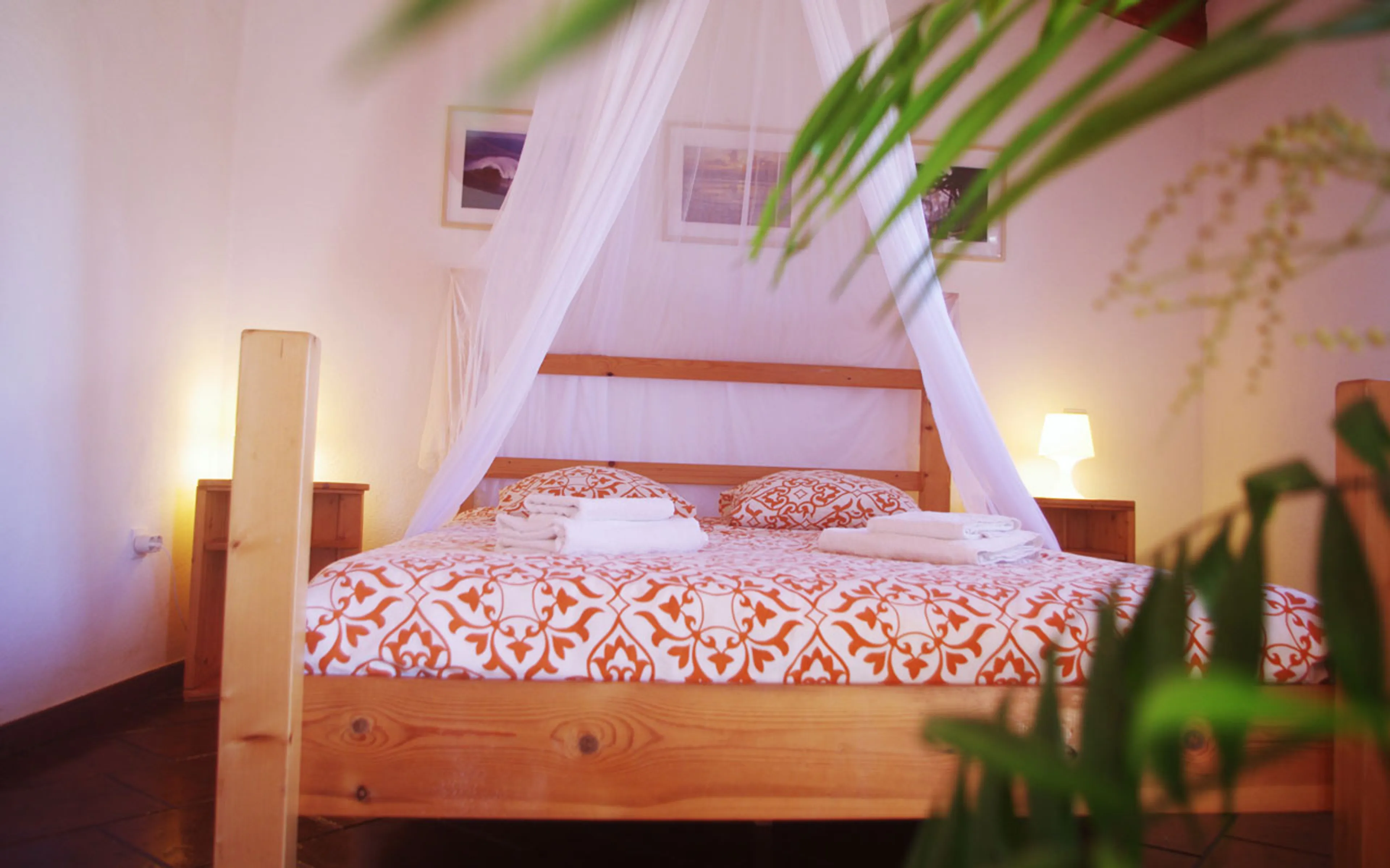 Gesamtes Surfhaus - 31