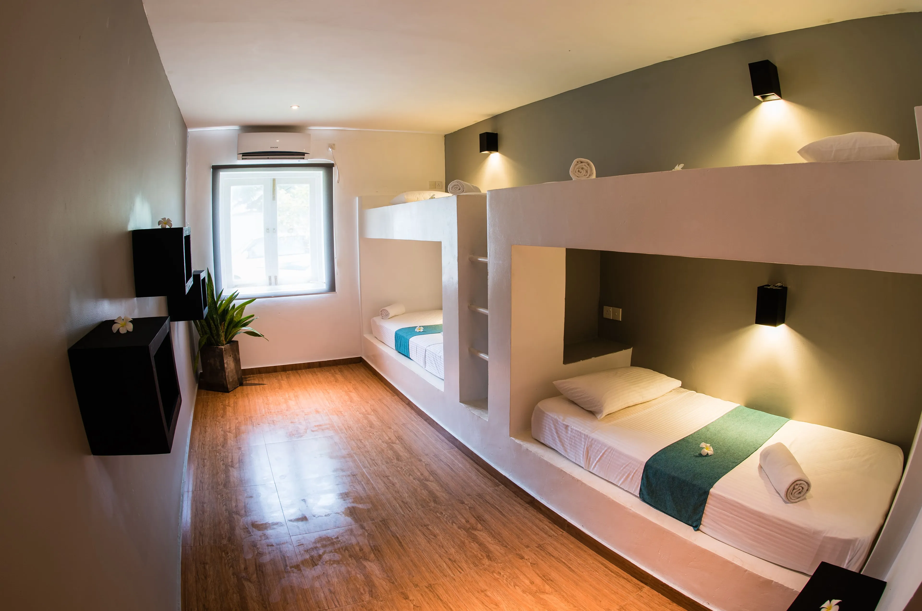 Superior Mehrbettzimmer - 5