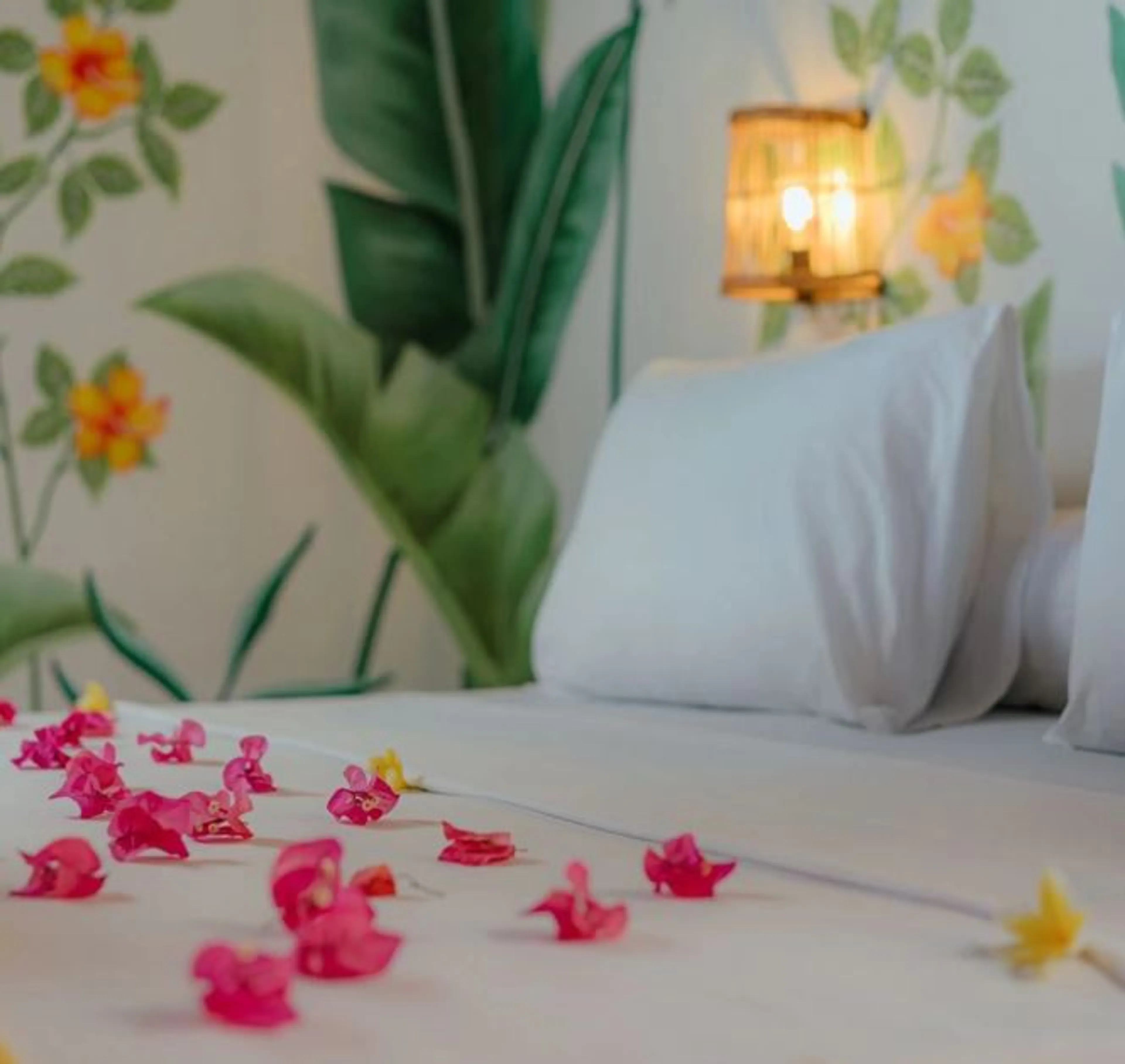 Private Single/Double Room - 1