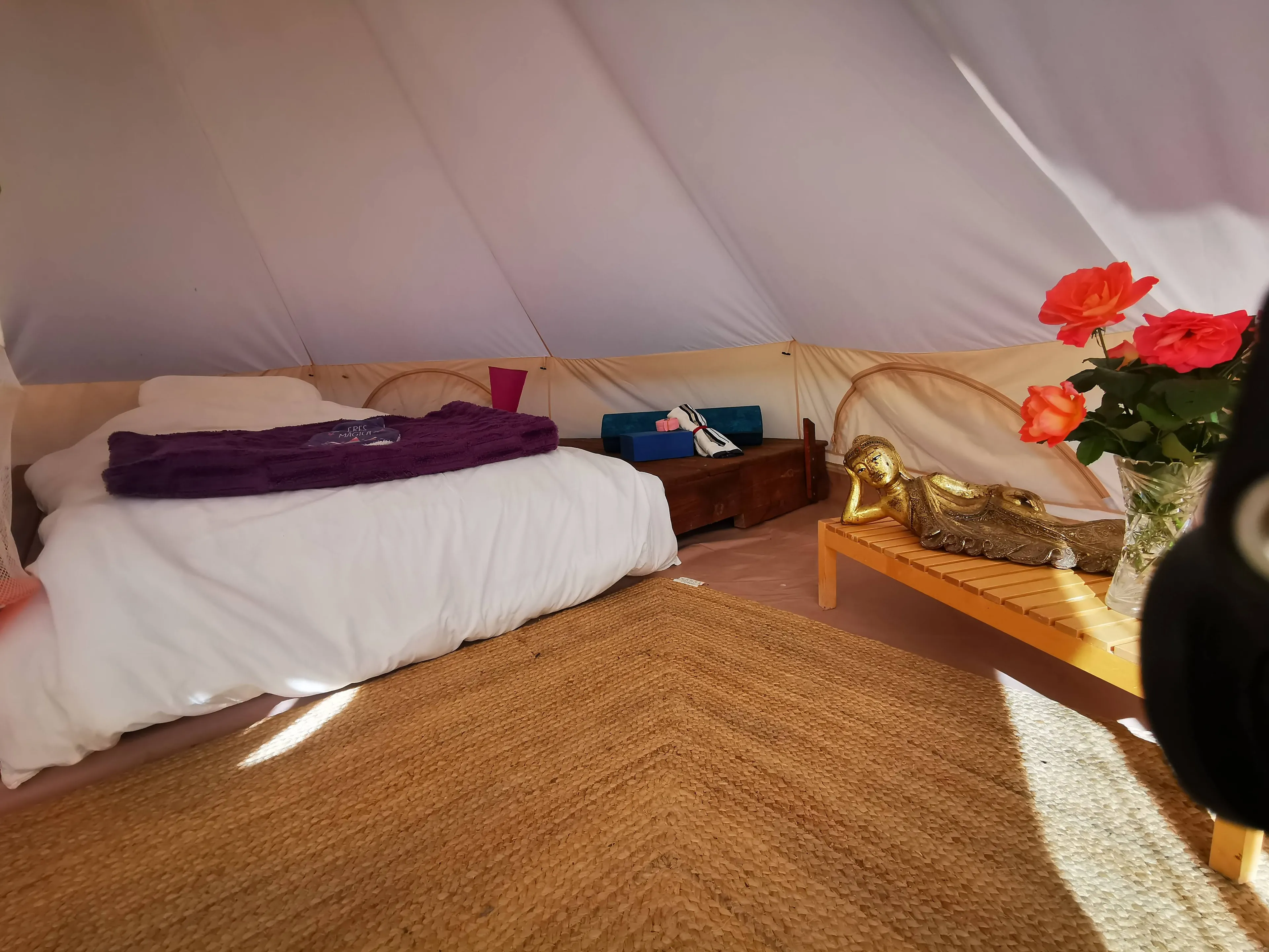 Single-Glamping-Pod - 4