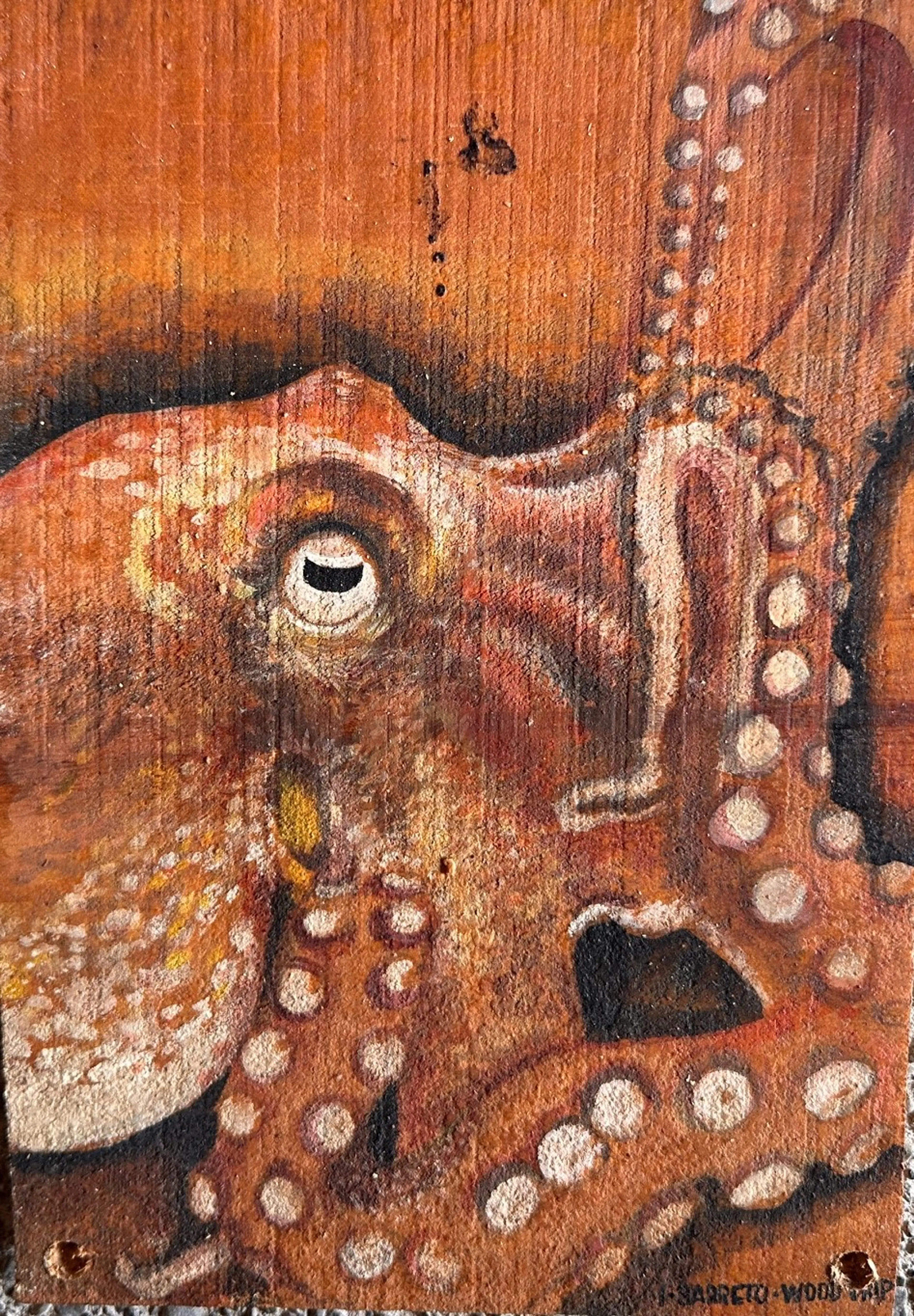 Oktopus - 2