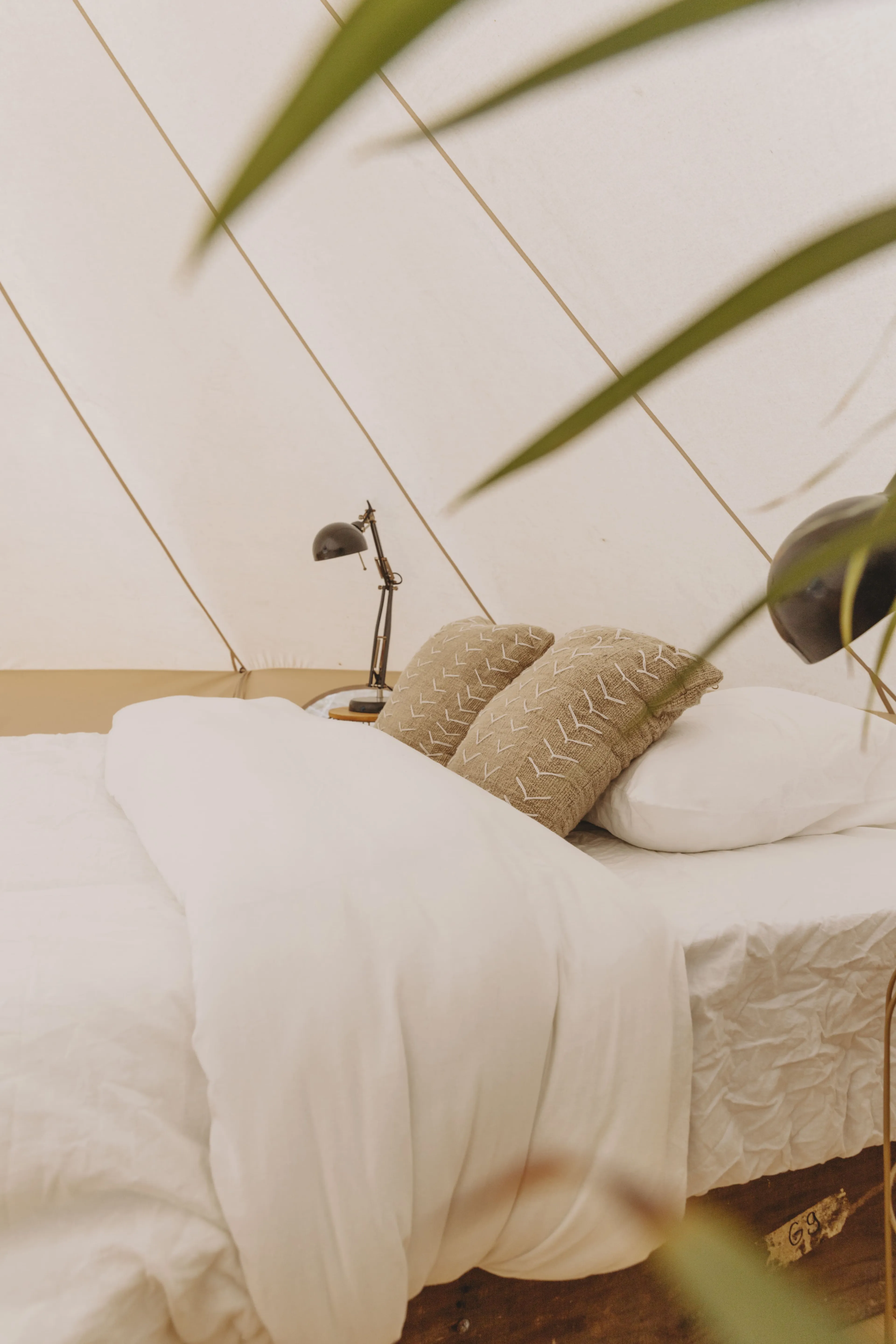 Privates Glamping Zelt für Lehrer:innen - 9