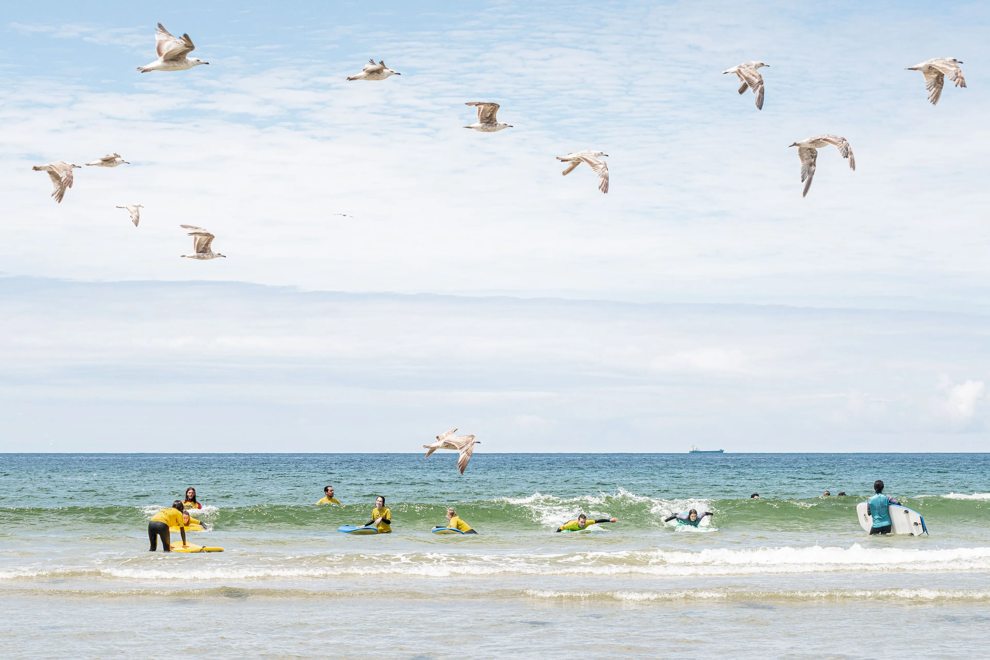 Keine Unterkunft - 1