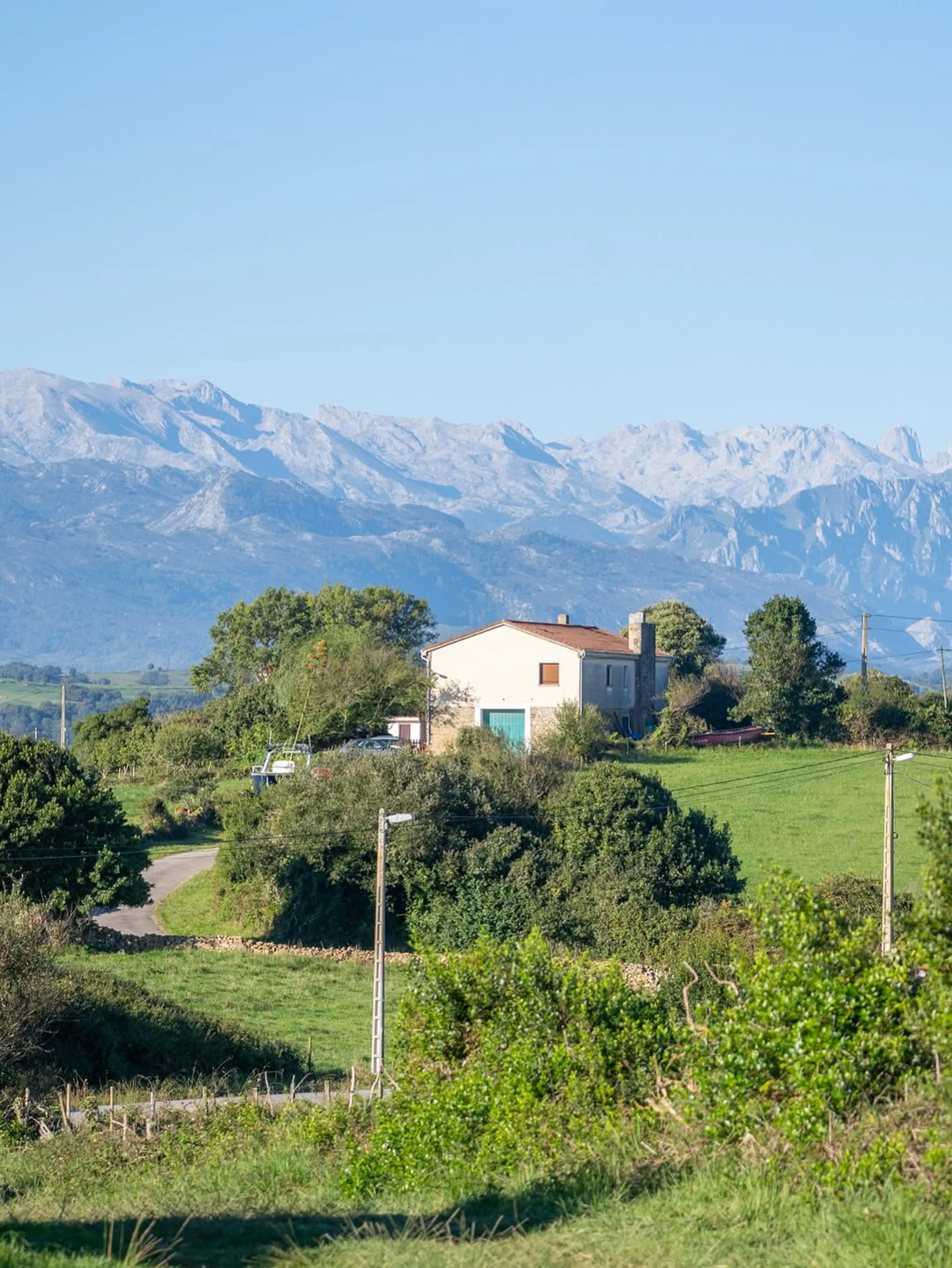La Amarilla - 2