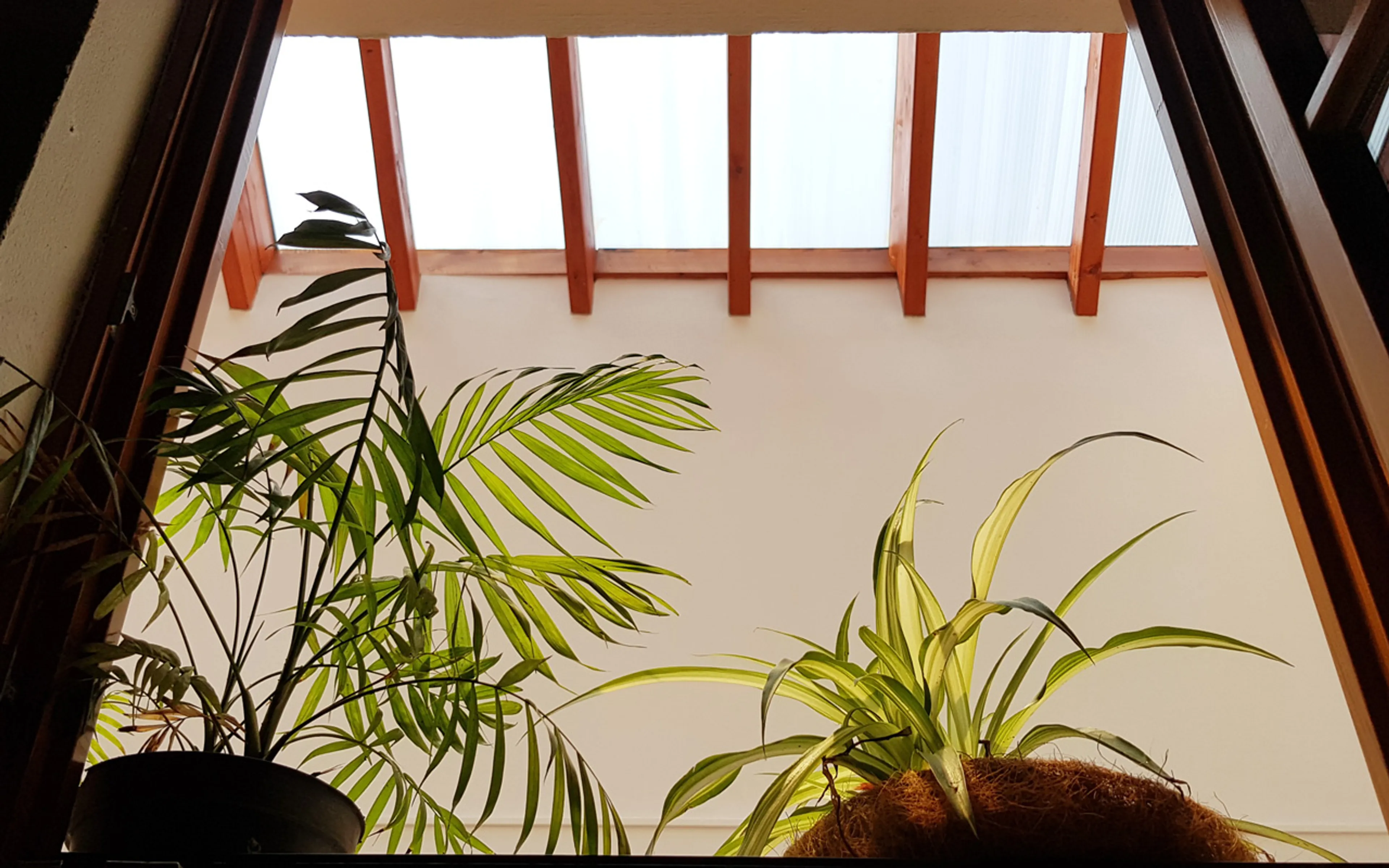 Geteiltes 3-Bettzimmer - 10