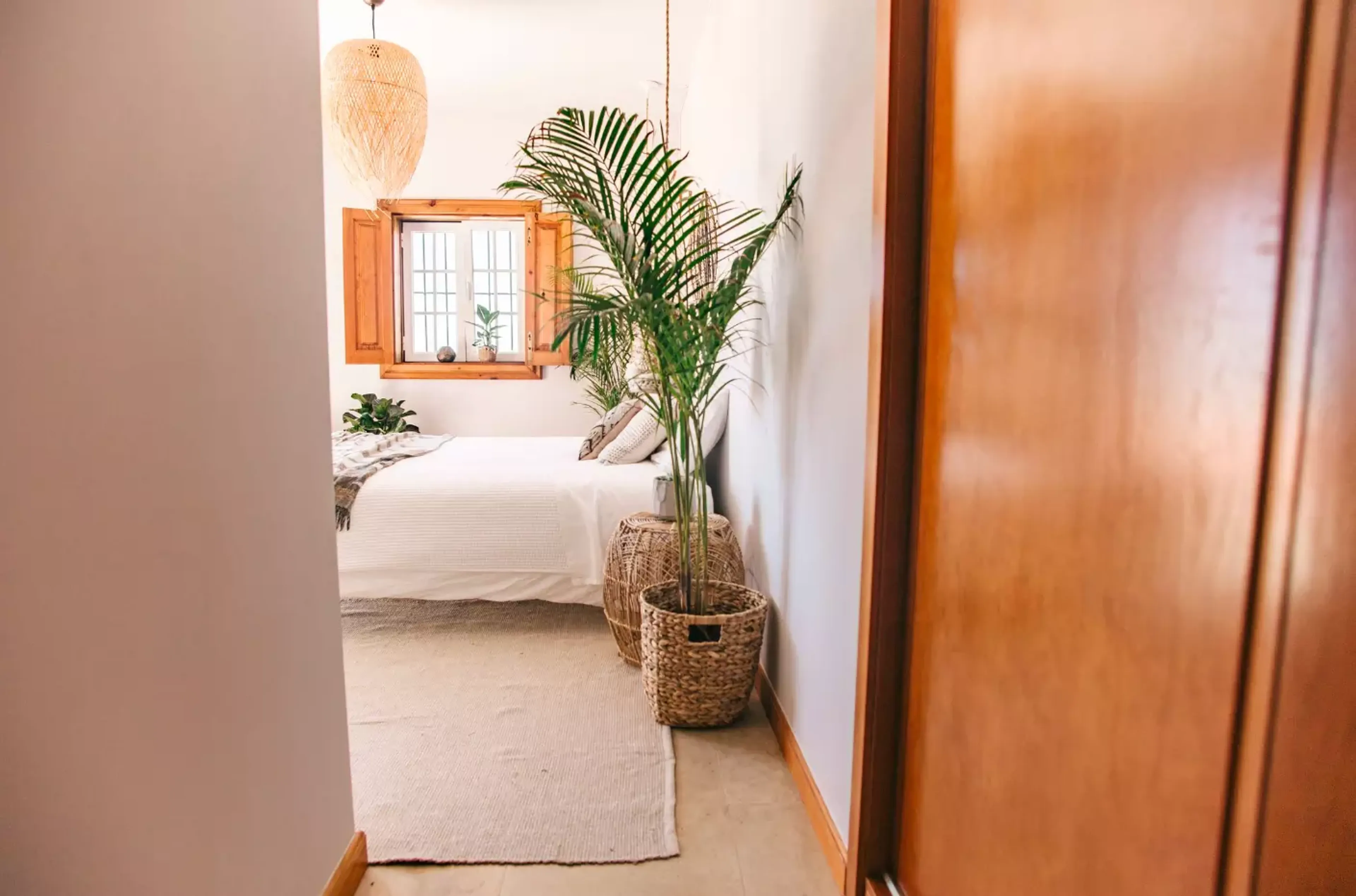 Suite - 2