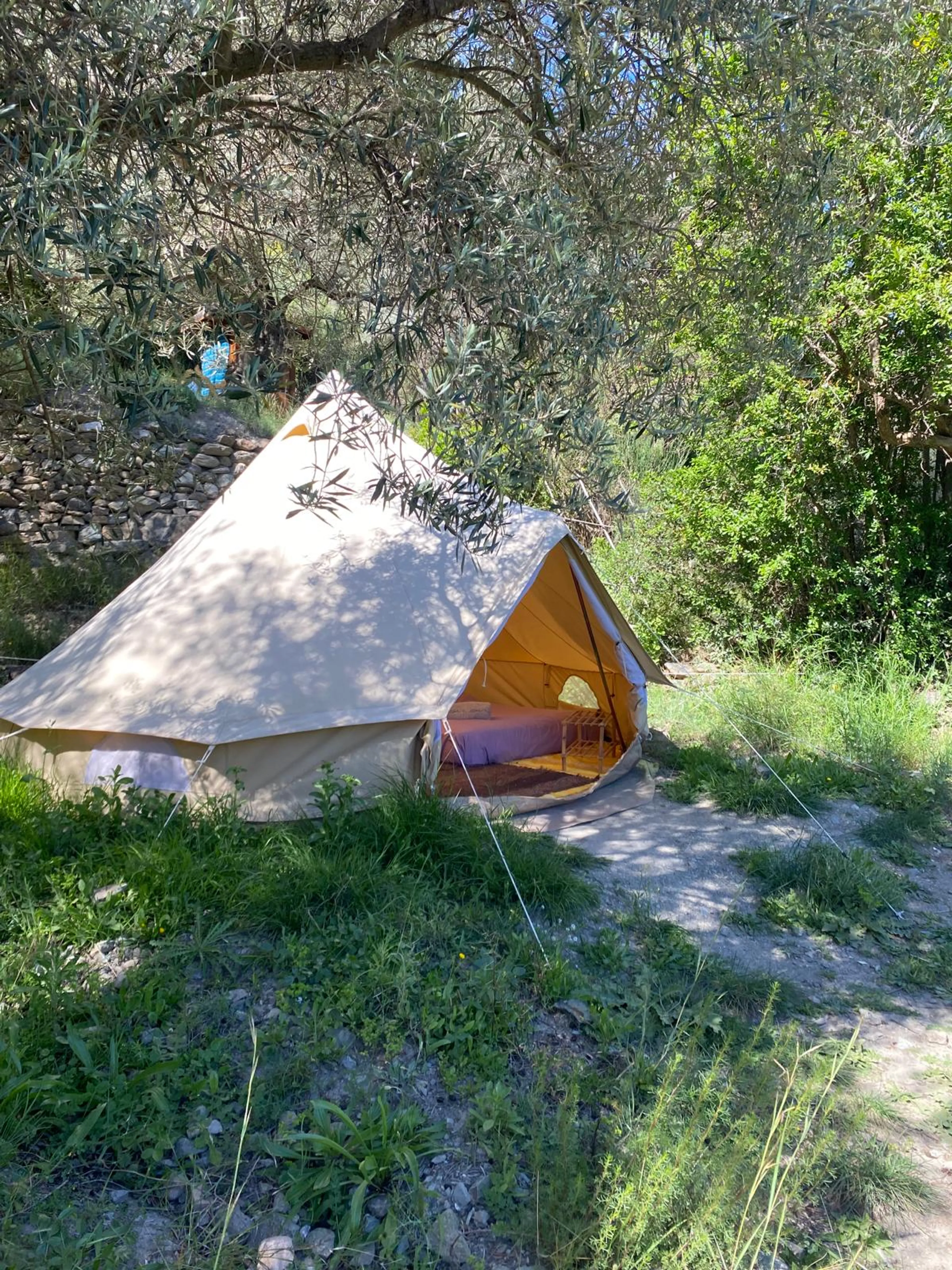 Privates Glamping-Zelt - 3