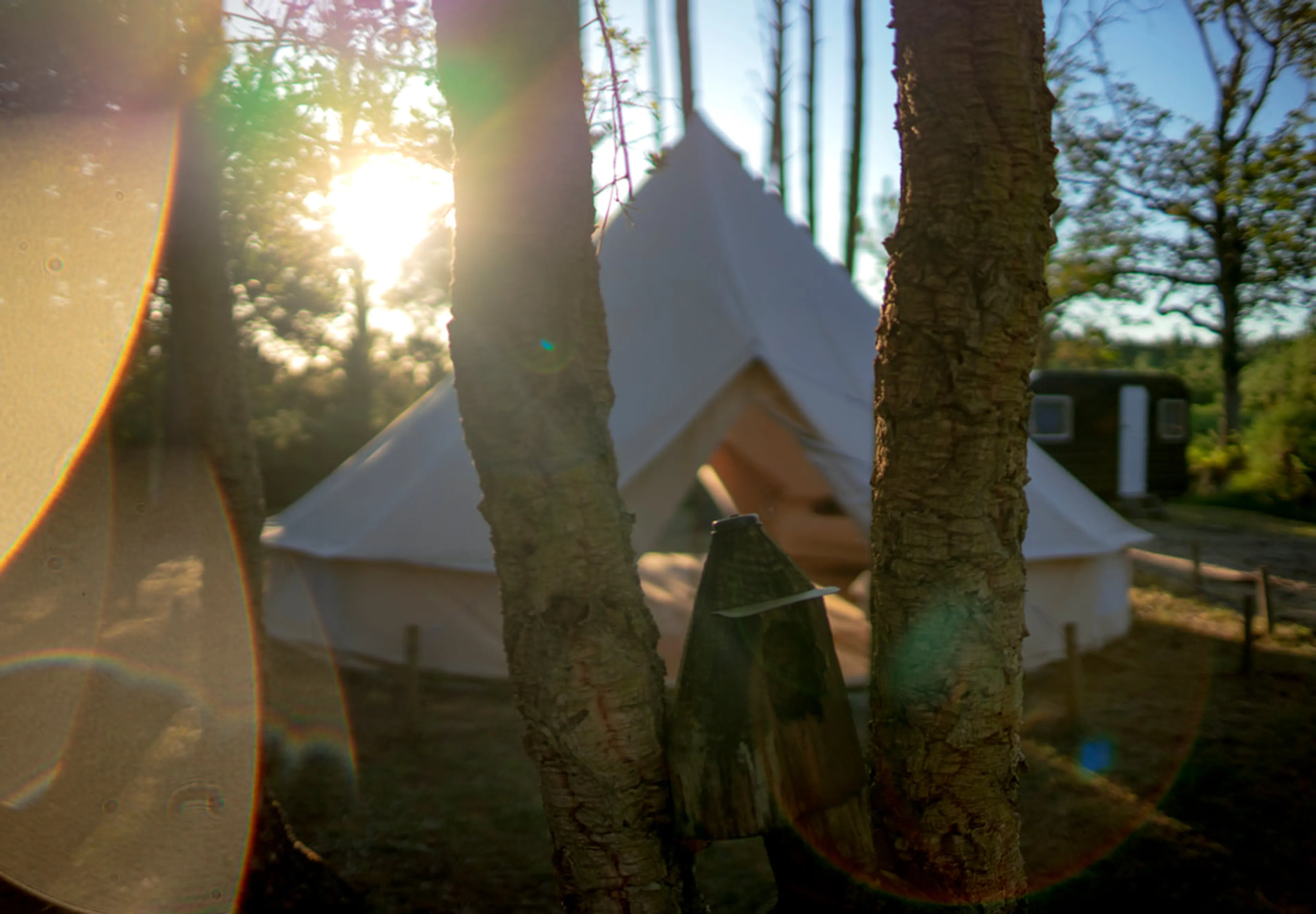 Glampingbereich - 4