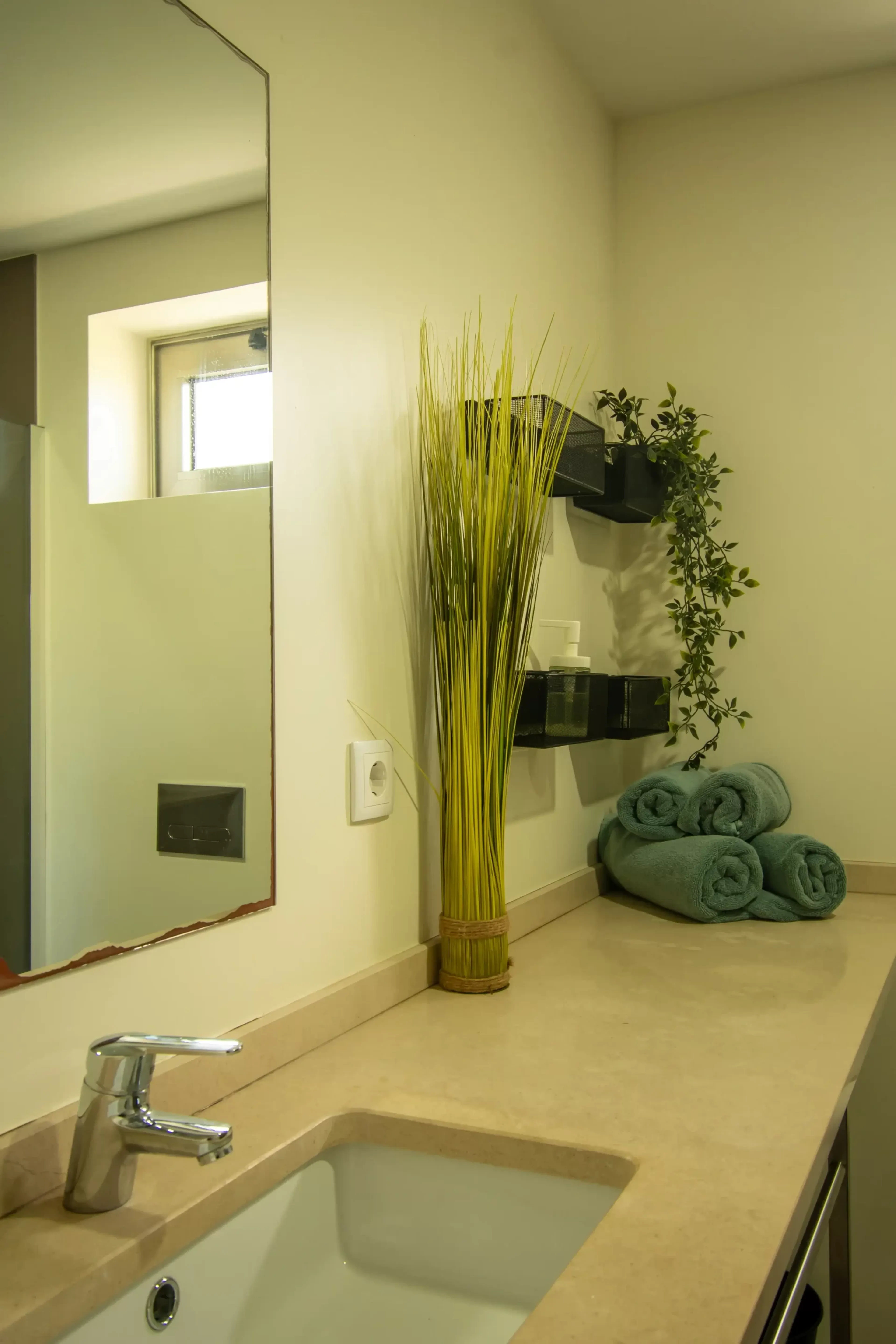 Suite - 3