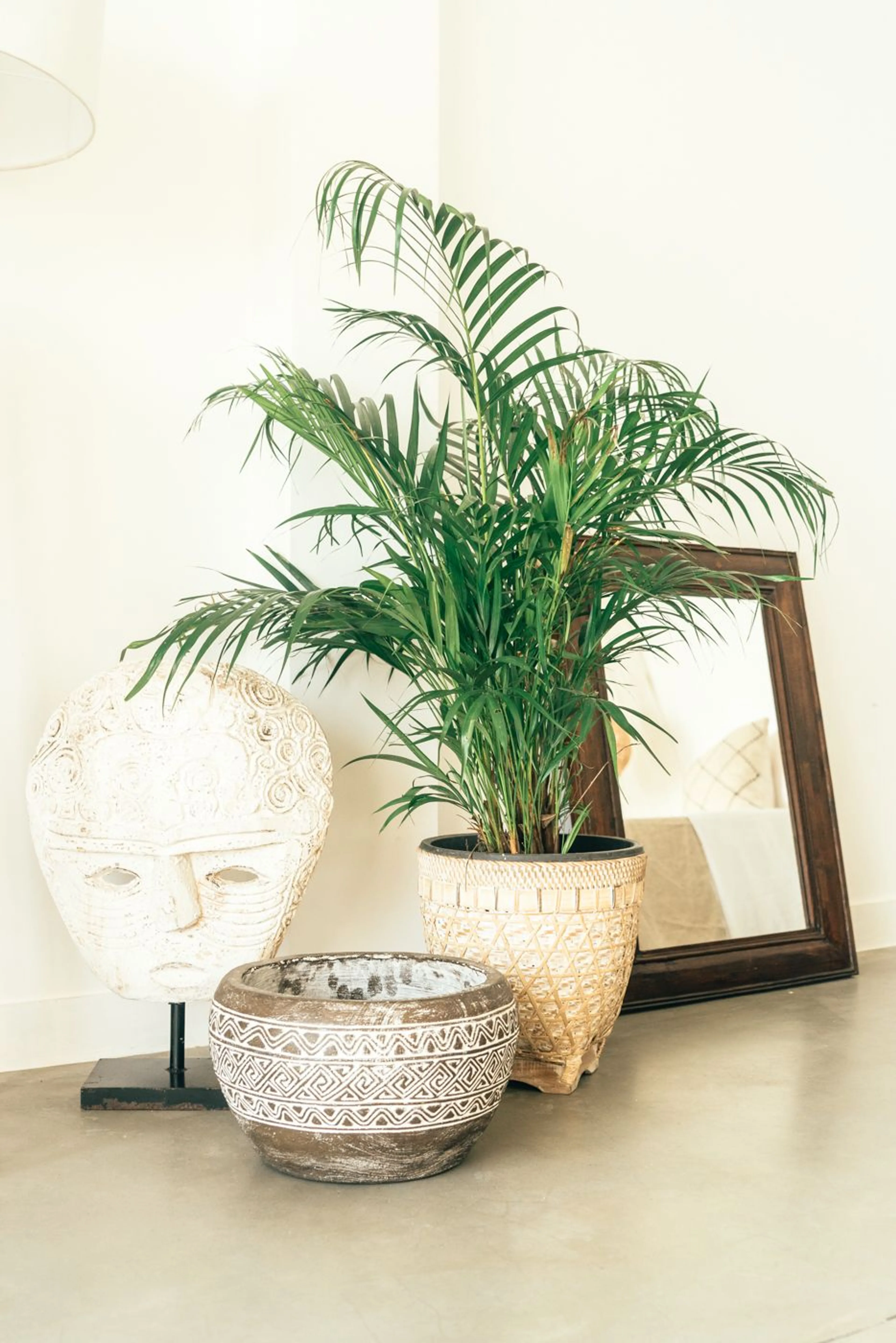 Geteiltes 4-Bettzimmer - 4
