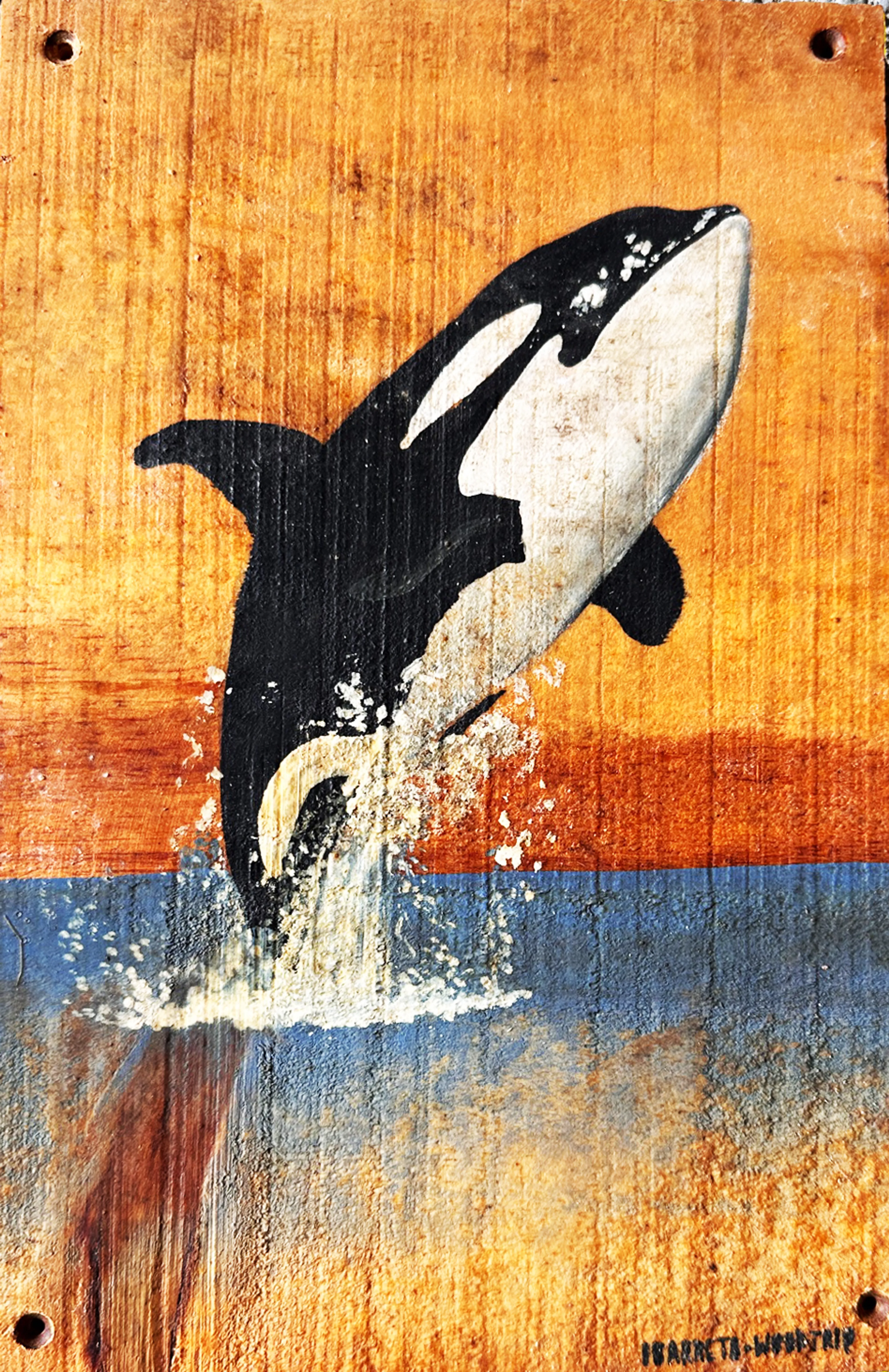 Orca - 2